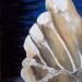 Bord de mer (130x89cm)